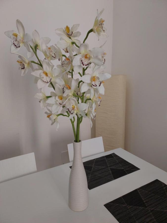The Smart Choice Apartments ฟลอเรนซ์ ภายนอก รูปภาพ