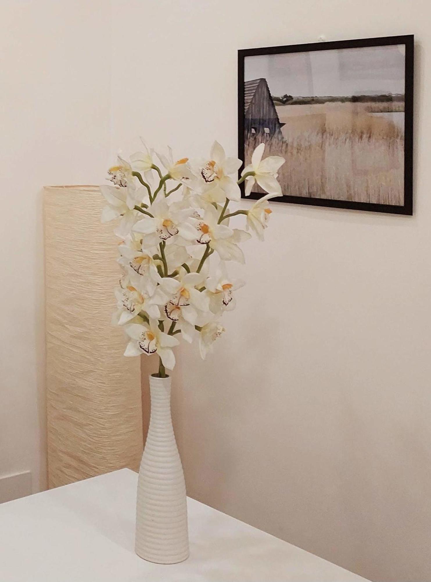 The Smart Choice Apartments ฟลอเรนซ์ ภายนอก รูปภาพ